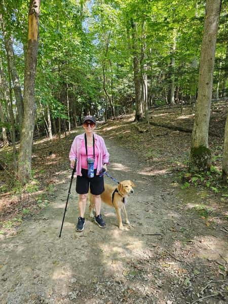 Review - Dave Dyke - Golden Retriever on a walk