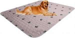 Washable Dog Pee Pads