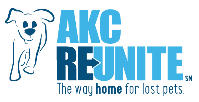 Reunite Two Blue Color Logo