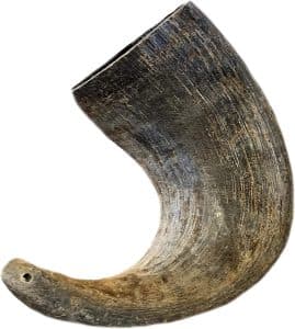 Water Buffalo Horn for Dogs
