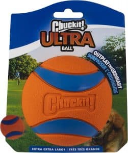 Chuck-It Balls