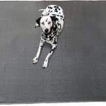 Pet Playpen Mat